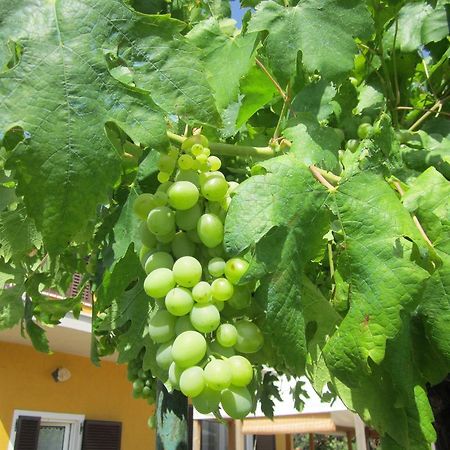 הוילה מליאנו אין טוסקנה Agriturismo La Carlina מראה חיצוני תמונה