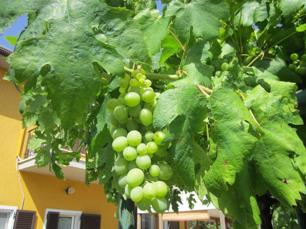 הוילה מליאנו אין טוסקנה Agriturismo La Carlina מראה חיצוני תמונה