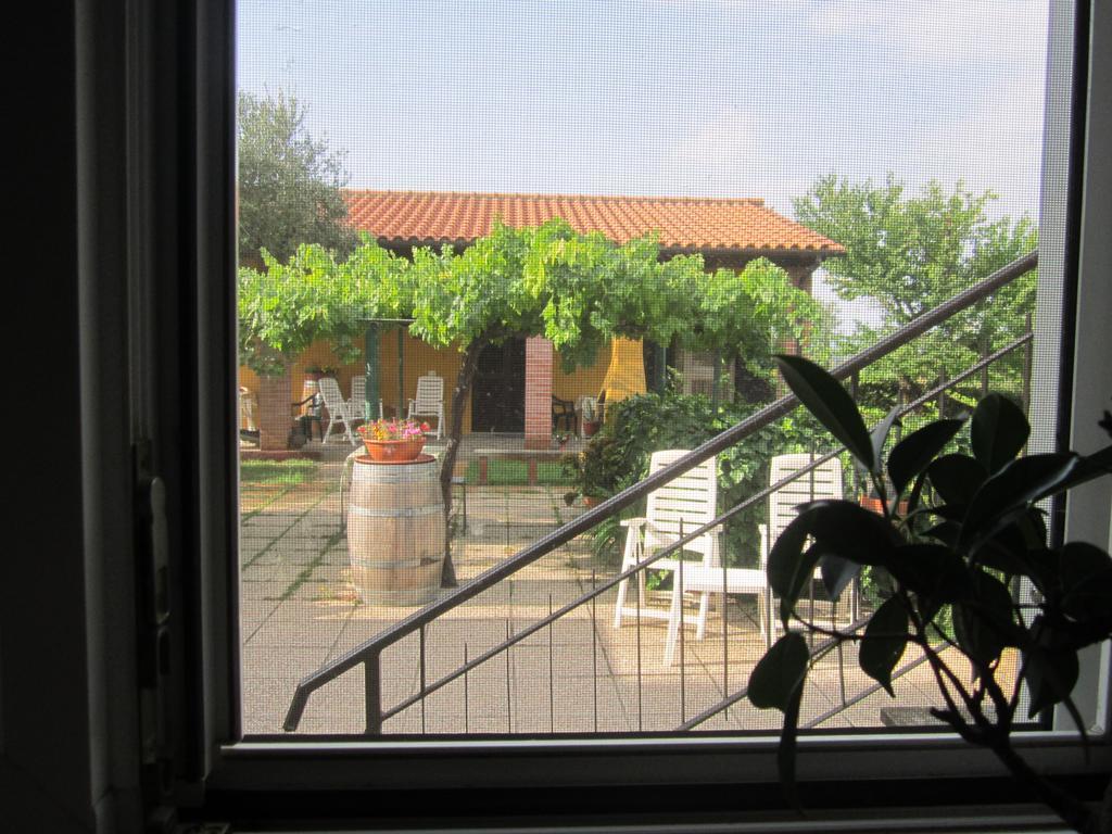 הוילה מליאנו אין טוסקנה Agriturismo La Carlina מראה חיצוני תמונה