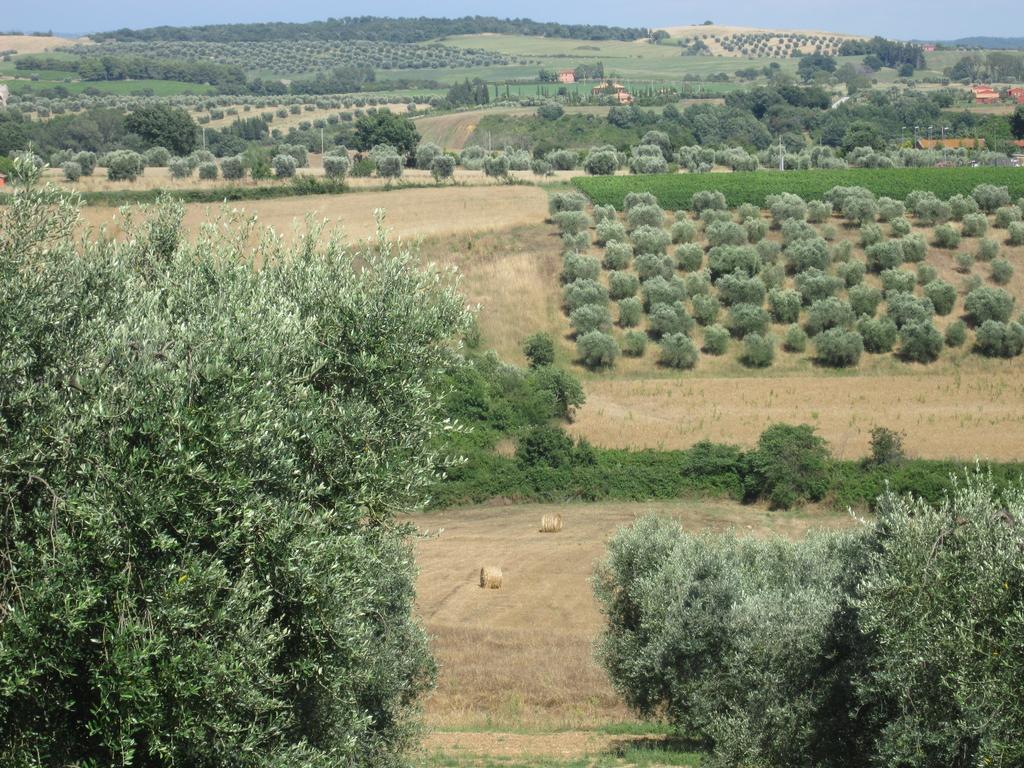 הוילה מליאנו אין טוסקנה Agriturismo La Carlina מראה חיצוני תמונה